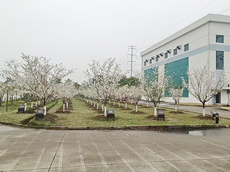 日電精工制造--櫻花紀(jì)念林
